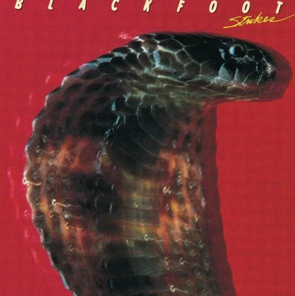 Blackfoot