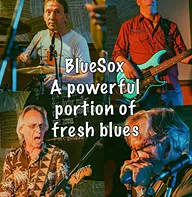 BlueSox