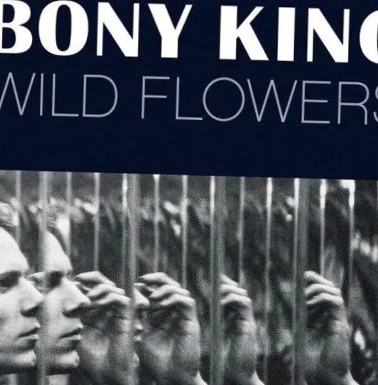 Bony King of Nowhere — achtergrondafbeelding