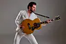 Bouke and the Elvis Matters Band