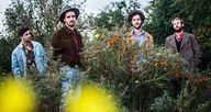 Dawn Brothers