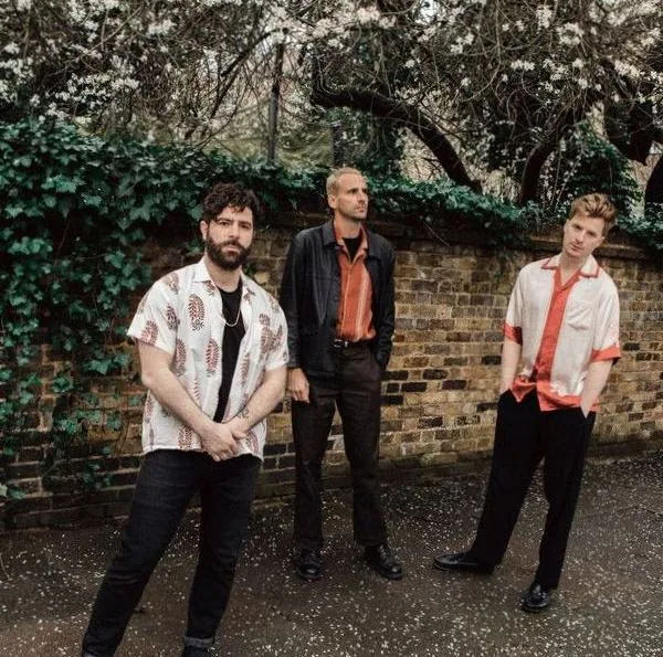 Foals