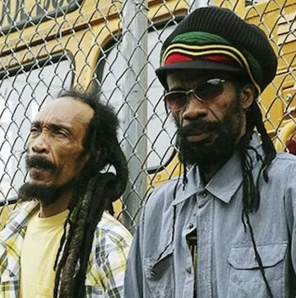 Israel Vibration