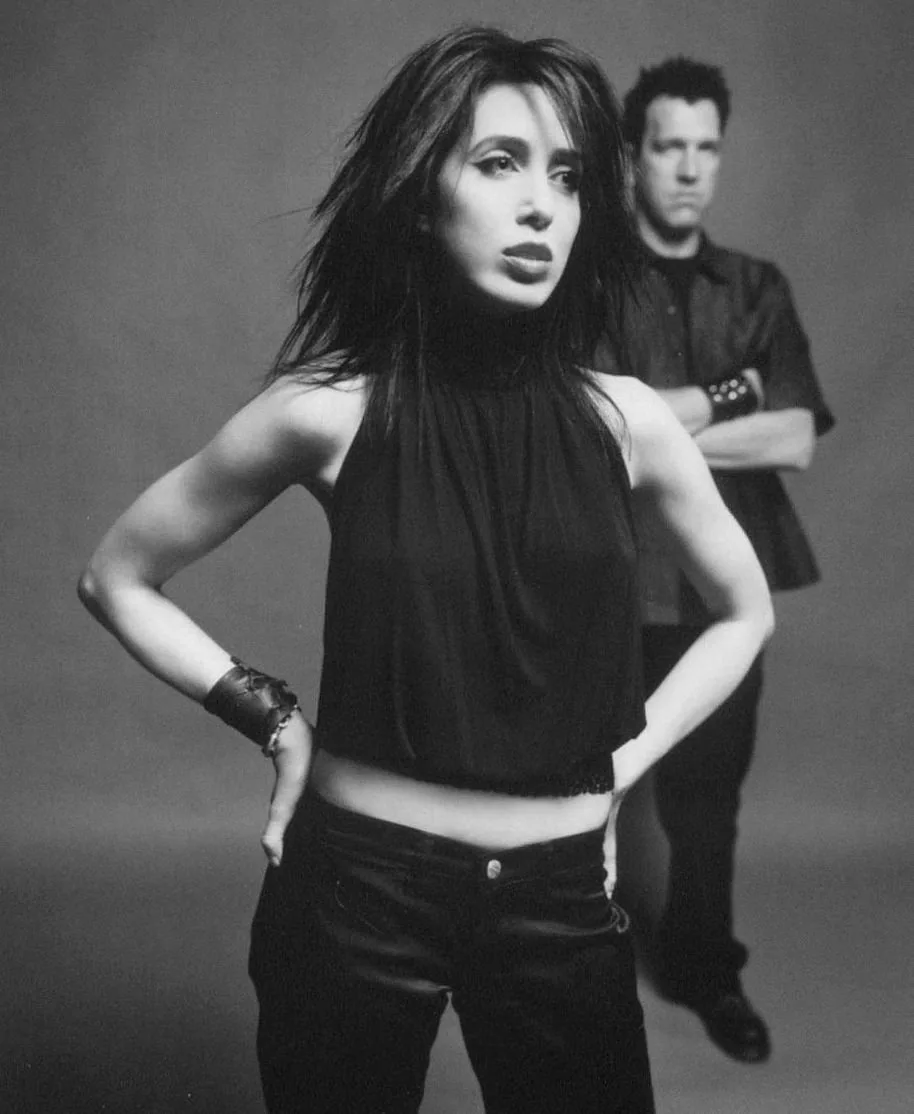 Kidneythieves