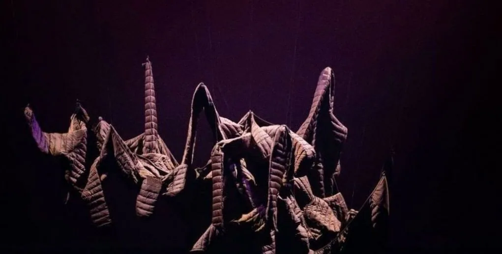 LaPiratesse — background image