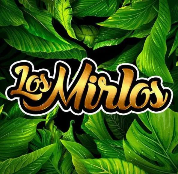 Los Mirlos