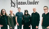 Maanvlinder