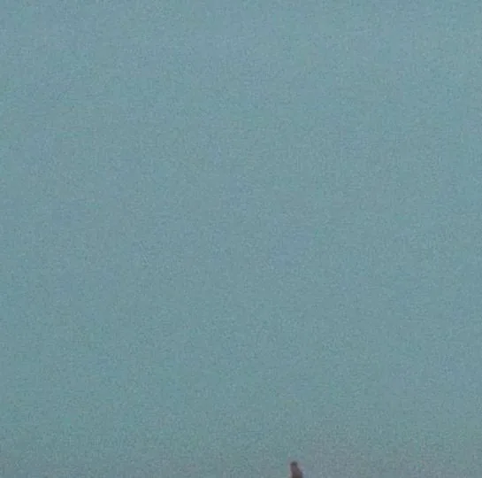 Mid-Air Thief
