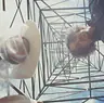 Monde UFO