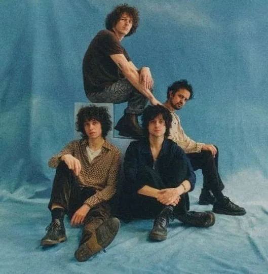 Mystery Jets