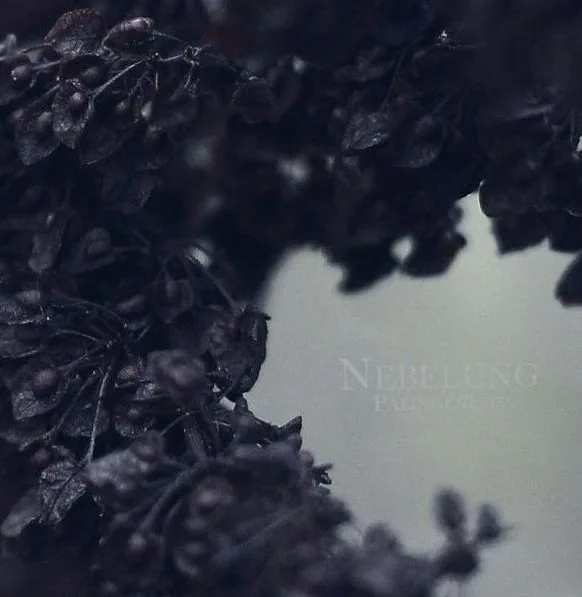 Nebelung