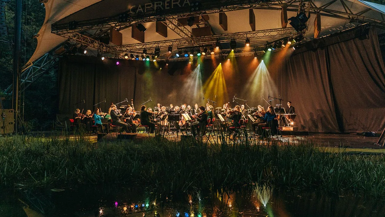 Nederlands Kamerorkest