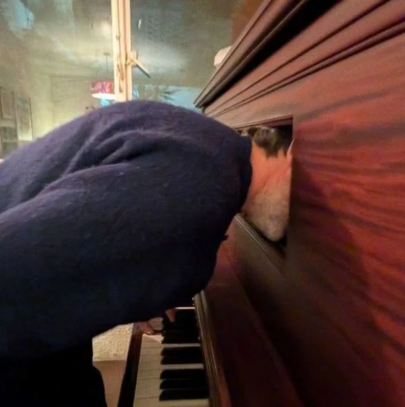 Patrick Watson