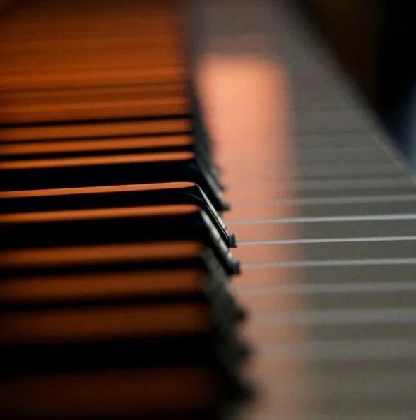 Pianovus