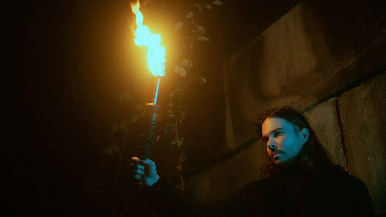 Seven Lions