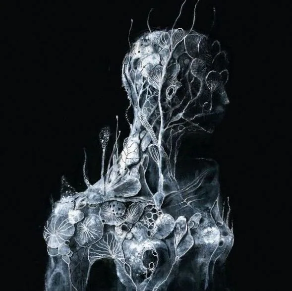 Soen
