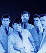 The Animals