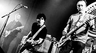 The Chameleons