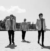 The Mountain Goats