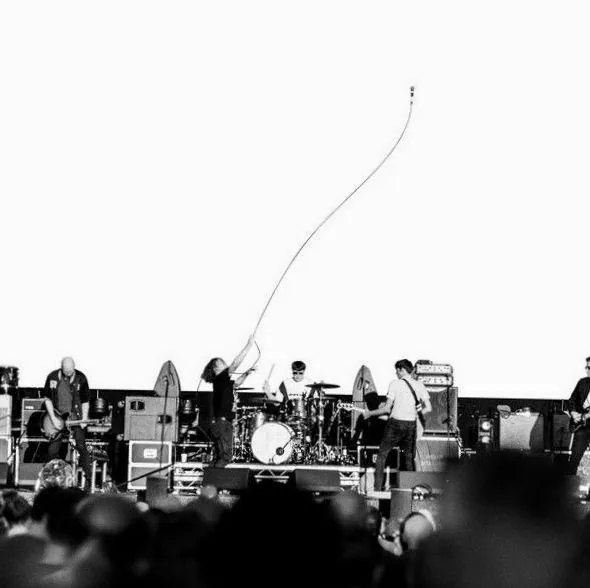 The Pigeon Detectives
