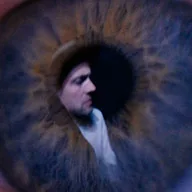The Veils