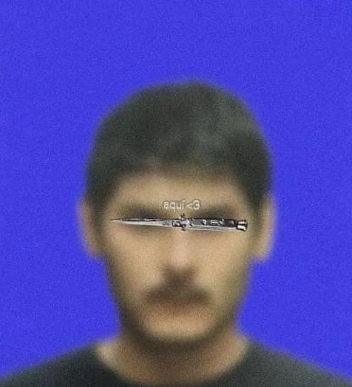 Verraco