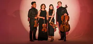 Viano Quartet