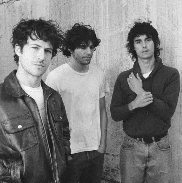 Wallows