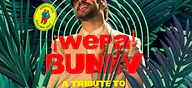 Wepa Bunny