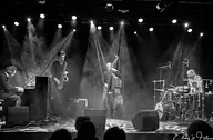 Yuri Honing Acoustic Quartet