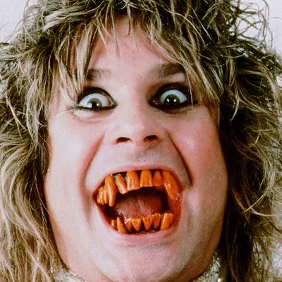 Ozzy — foto 3
