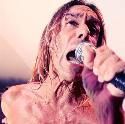 Iggy Pop — foto 6