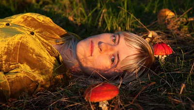 Amber Arcades — foto 4