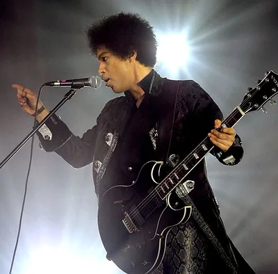 Prince — foto 1