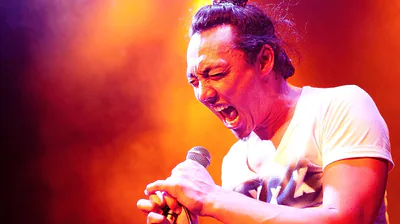 Regurgitator — photo 6