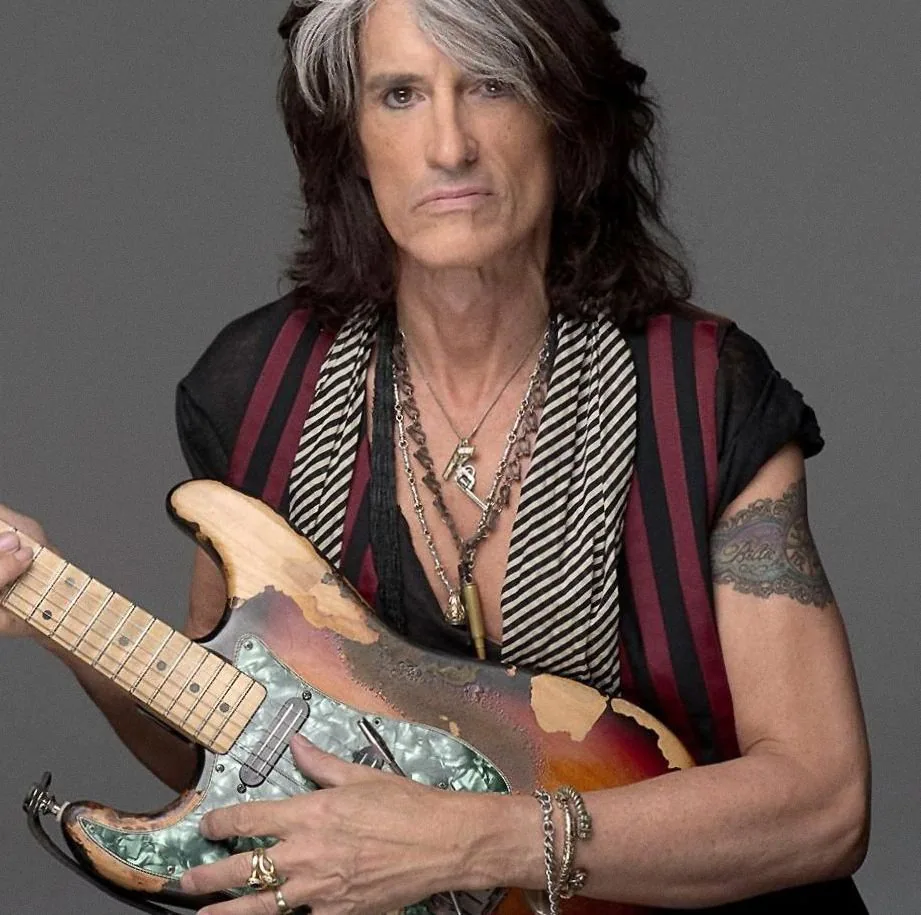 The Joe Perry Project