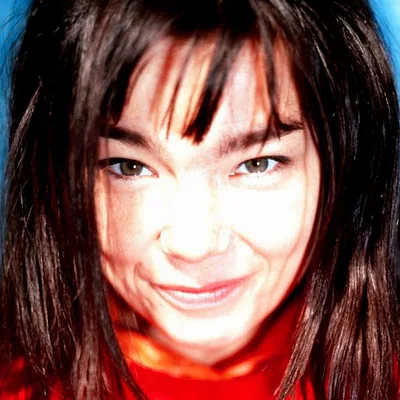 Björk — foto 4