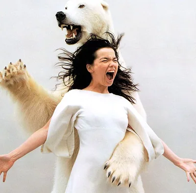 Björk — foto 5