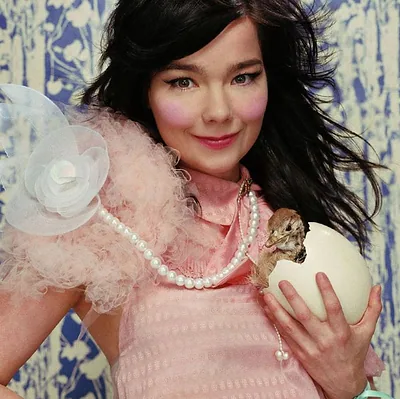 Björk — foto 6