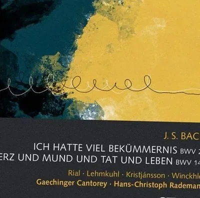 Wiebke Lehmkuhl — photo 1