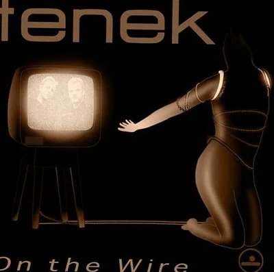 Tenek — photo 1