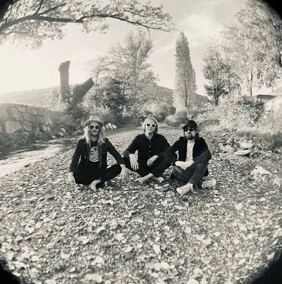 Acid Rooster — foto 1