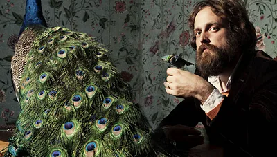 Iron & Wine — photo 5