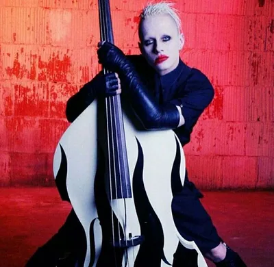 Skold — photo 4
