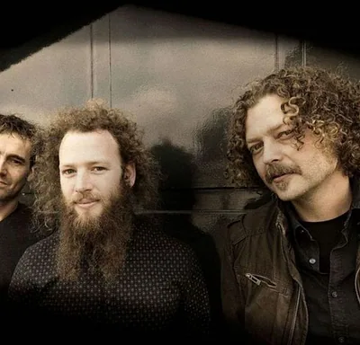 Gingerpig — foto 1