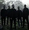 XII Thorns