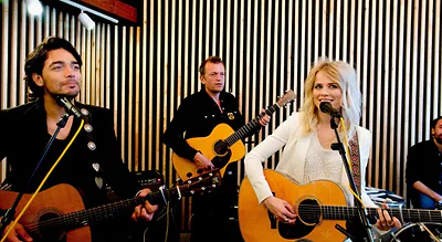 The Common Linnets — foto 3