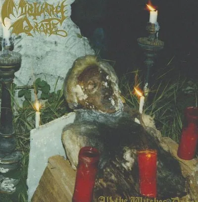 Mortuary Drape — photo 1
