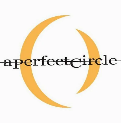 A Perfect Circle — foto 1