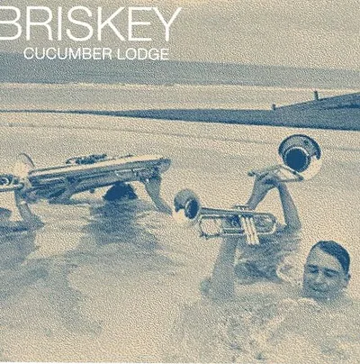 Briskey — photo 1